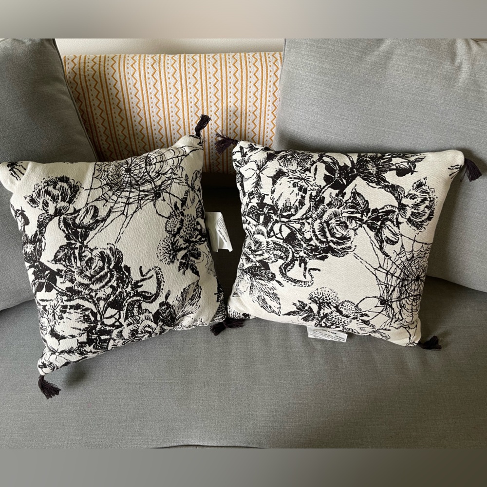 2 Decor Pillows